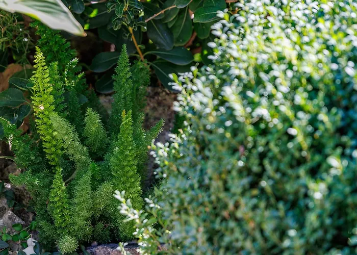 Providenca Villa Šibenik