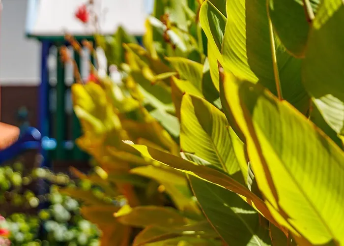 Villa Providenca Šibenik